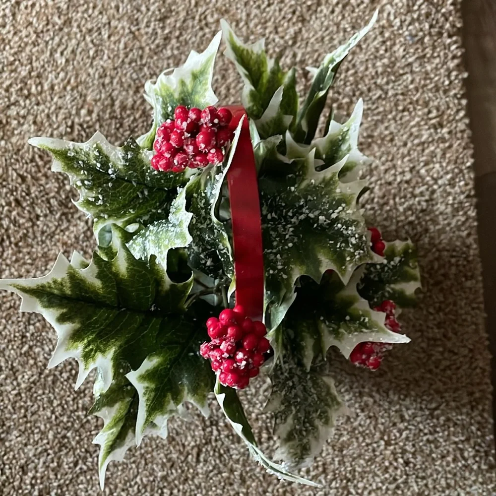 Christmas Shop Variegated Ivy Basket arrangement